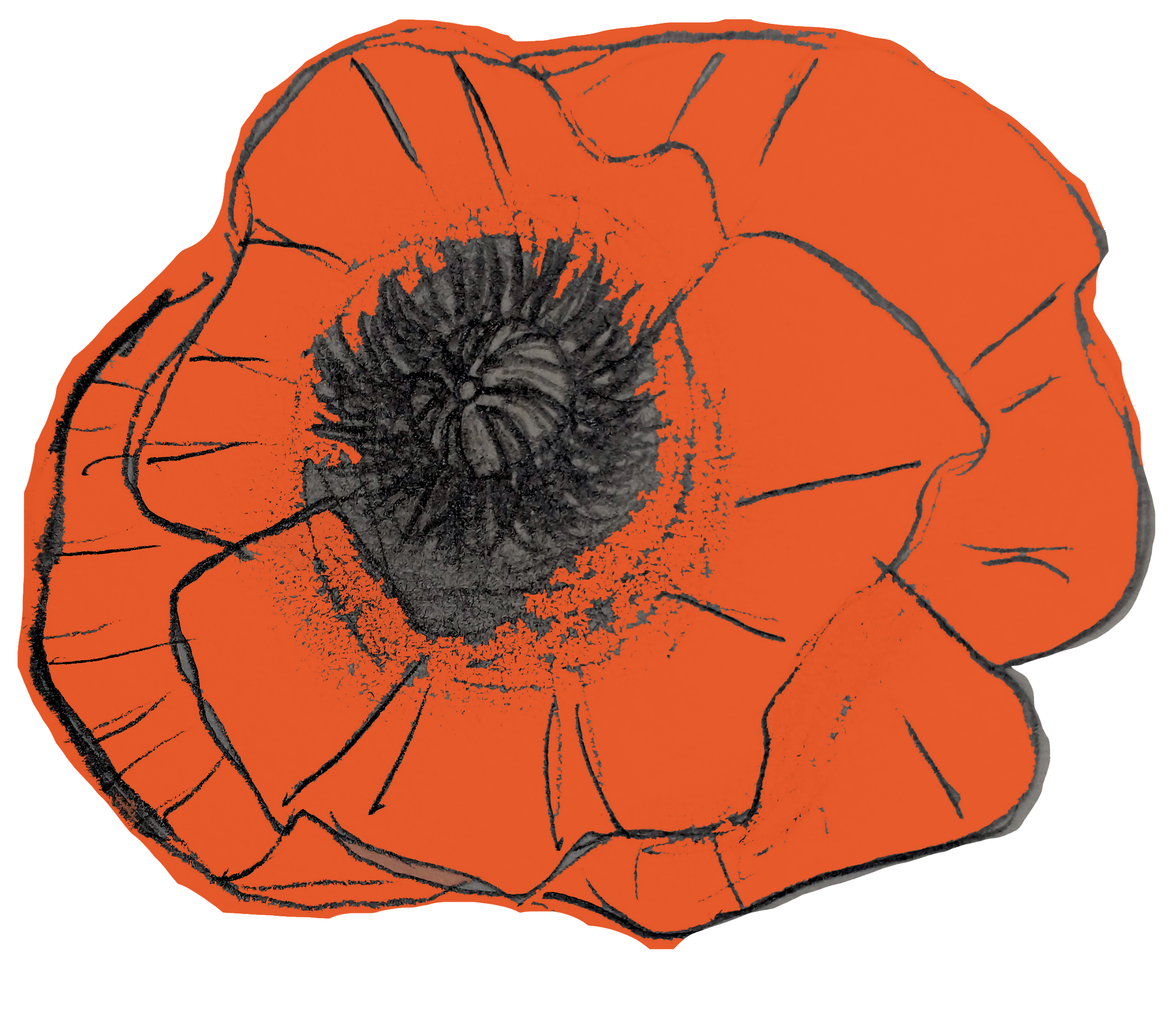 Poppy Drawing Honoring 'A'